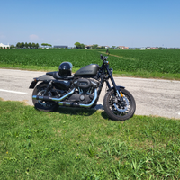 Harley Davidson 1200 roadster