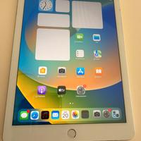 iPad A1893 (Ricondizionato)