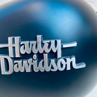 Serbatoio + parafanghi Harley Davidson Street Bob