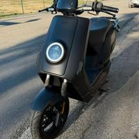 Scooter Niu 50 Cargo Elettrico Nuovo