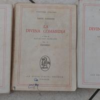 LA DIVINA COMMEDIA SAPEGNO 