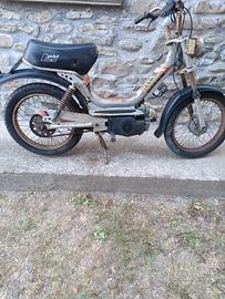 Califfone Rizzato più