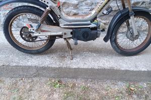 Califfone Rizzato più
