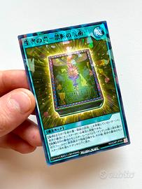 Libro della Vita RD/SJMP-JP058 Saykyo Jump Promo
