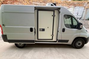 FIAT DUCATO ISOTERMICO CON FRIGO 3000 KM