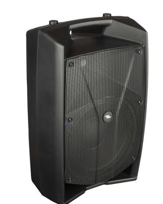 COPPIA  casse PROEL V12PRO