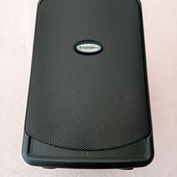 DIFFUSORE AMPLIFICATO