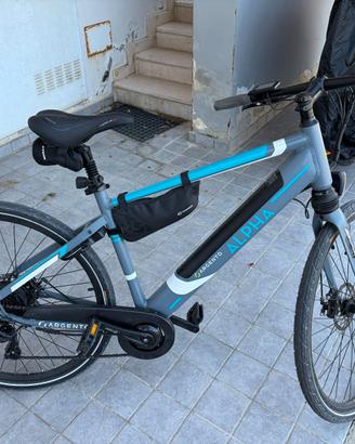 Bicicletta elettrica E-bike Alpha Argento