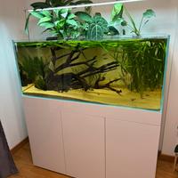 Acquario vasca e mobile aqpet 120 extrachiaro