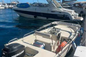 BOSTON WHALER 15