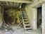 Immagine 8