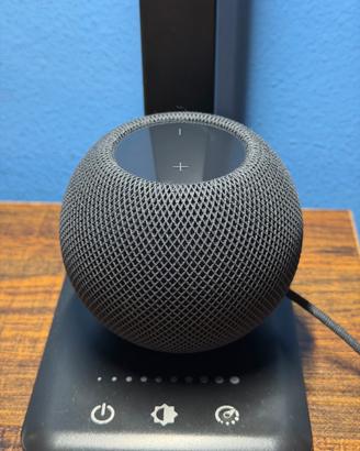 Homepod Mini Mezzanotte