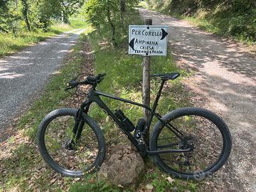 Orbea Alma M50