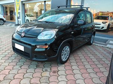 FIAT Panda 3ª serie Panda 1.0 FireFly S&S Hybr...