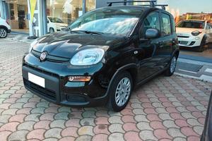 FIAT Panda 3ª serie Panda 1.0 FireFly S&S Hybr...