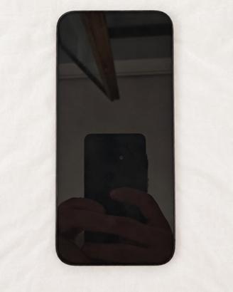 Apple iPhone 15 Pro Max 256GB- Display con difetto
