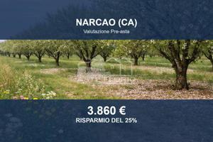 Immobile in asta di 3330 m² a Narcao