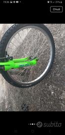 bicicletta bolt verde
