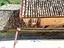 Immagine 19