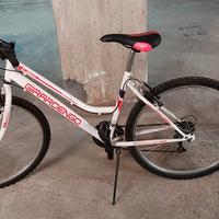 bici donna raggio 26 