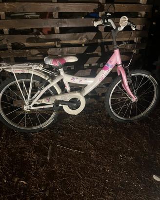 Bicicletta