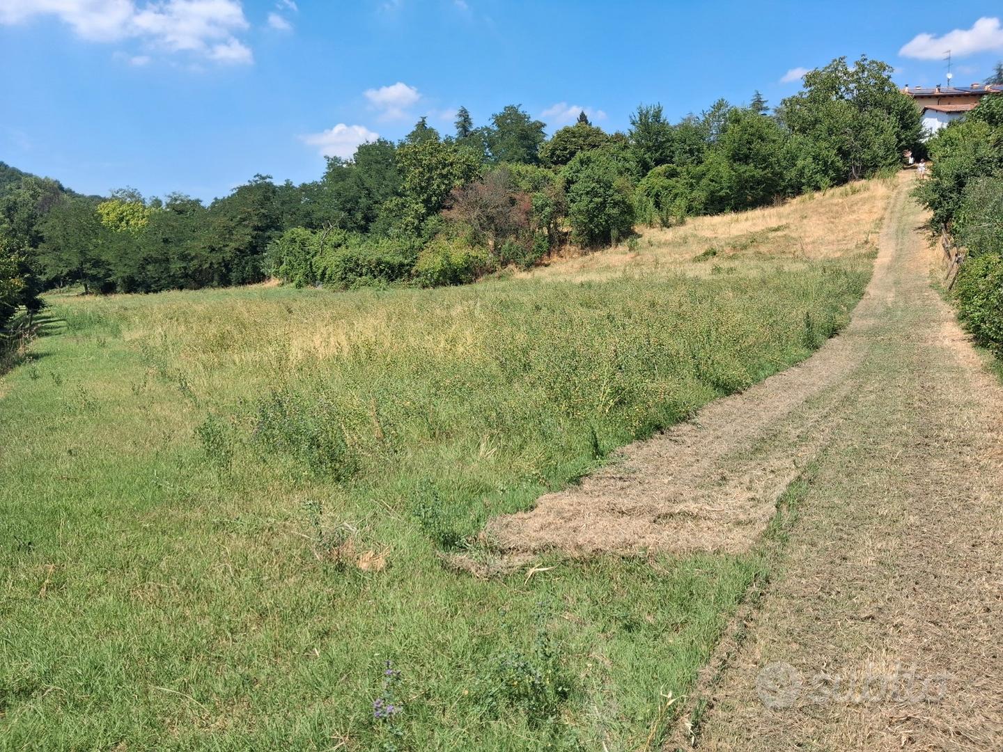 Terreno agricolo adatto alla coltivazione - Vista 2