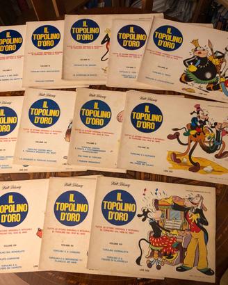 Il Topolino d’Oro – lotto 12 volumi anni ’70