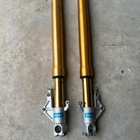 Forcelle Ohlins Ducati 998