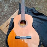 Chitarra Raimundo Mod 106