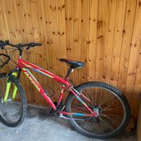 Bicicletta da ragazzo