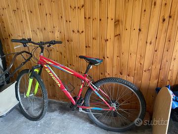 Bicicletta da ragazzo