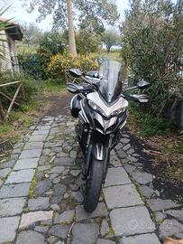 Ducati multistrada  950 testastretta 11°
