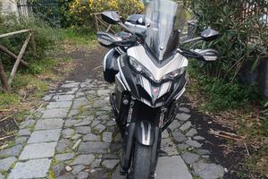 Ducati multistrada  950 testastretta 11°