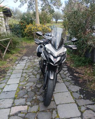 Ducati multistrada  950 testastretta 11°