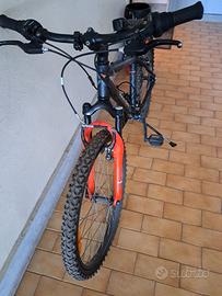 bicicletta