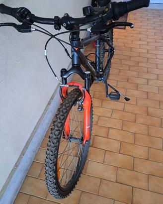 bicicletta