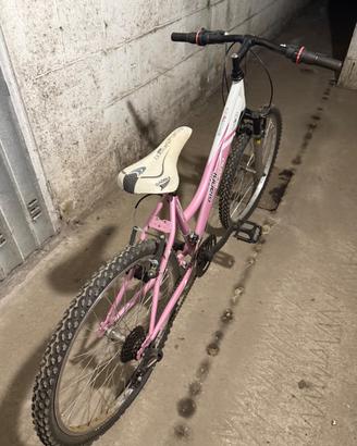 Bicicletta Gianni Bugno