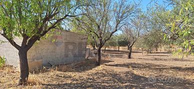 Terreno - Noto