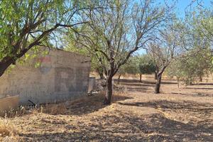 Terreno - Noto