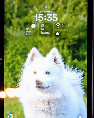 Galaxy Tab 9+ 128g
