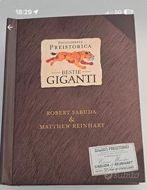 Libro