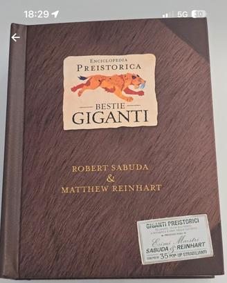 Libro