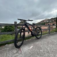 Bicicletta elettrica