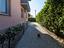 Immagine 27