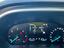 Immagine 7