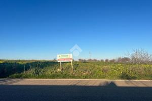 TER. RESIDENZIALE A CAROVIGNO