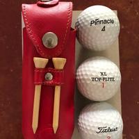 Kit portapalle da golf in pelle
