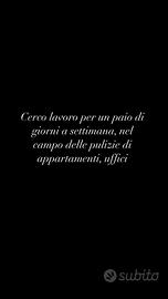 Pulizia dell'appartamento