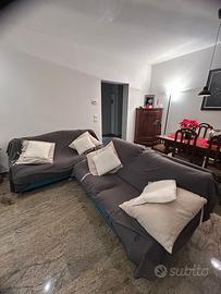 Coppia divani Cinova