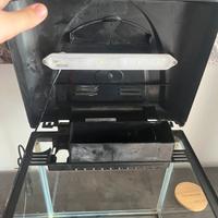 Acquario 16 litri billy